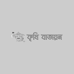 করমচার আগা মরা রোগ