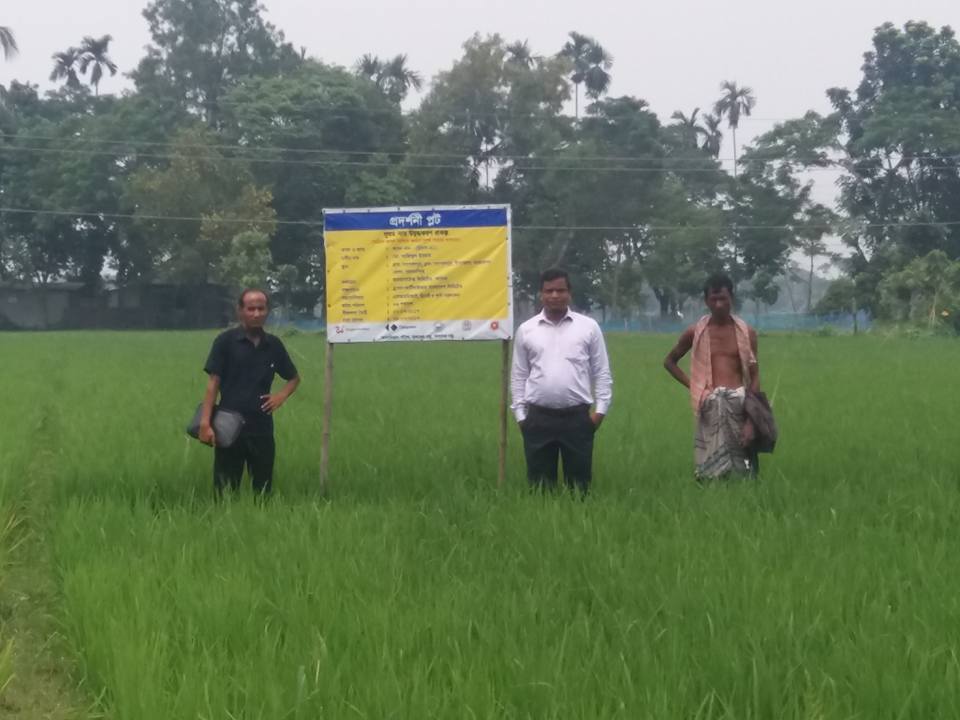 বিশেষ কর্মসূচী